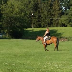 Meet your Posher, Kristina